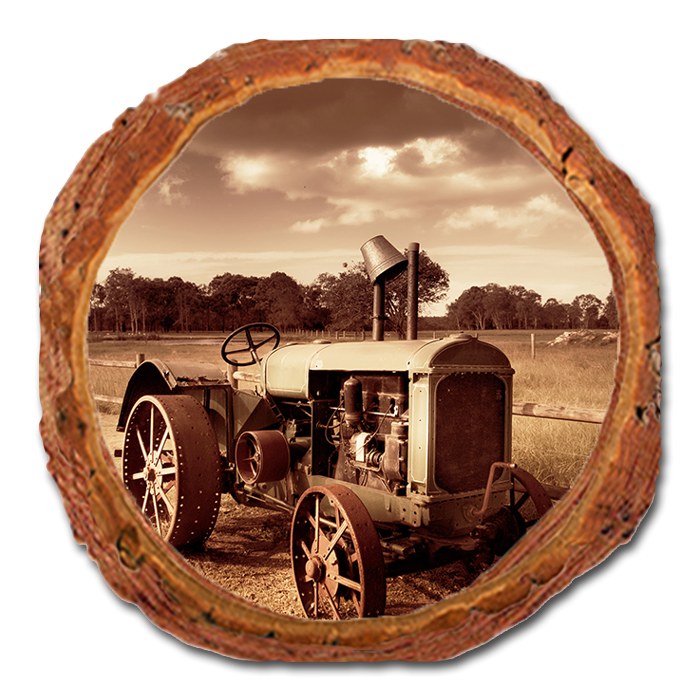 Coaster: Live Edge - Back When (Pack of 5)
