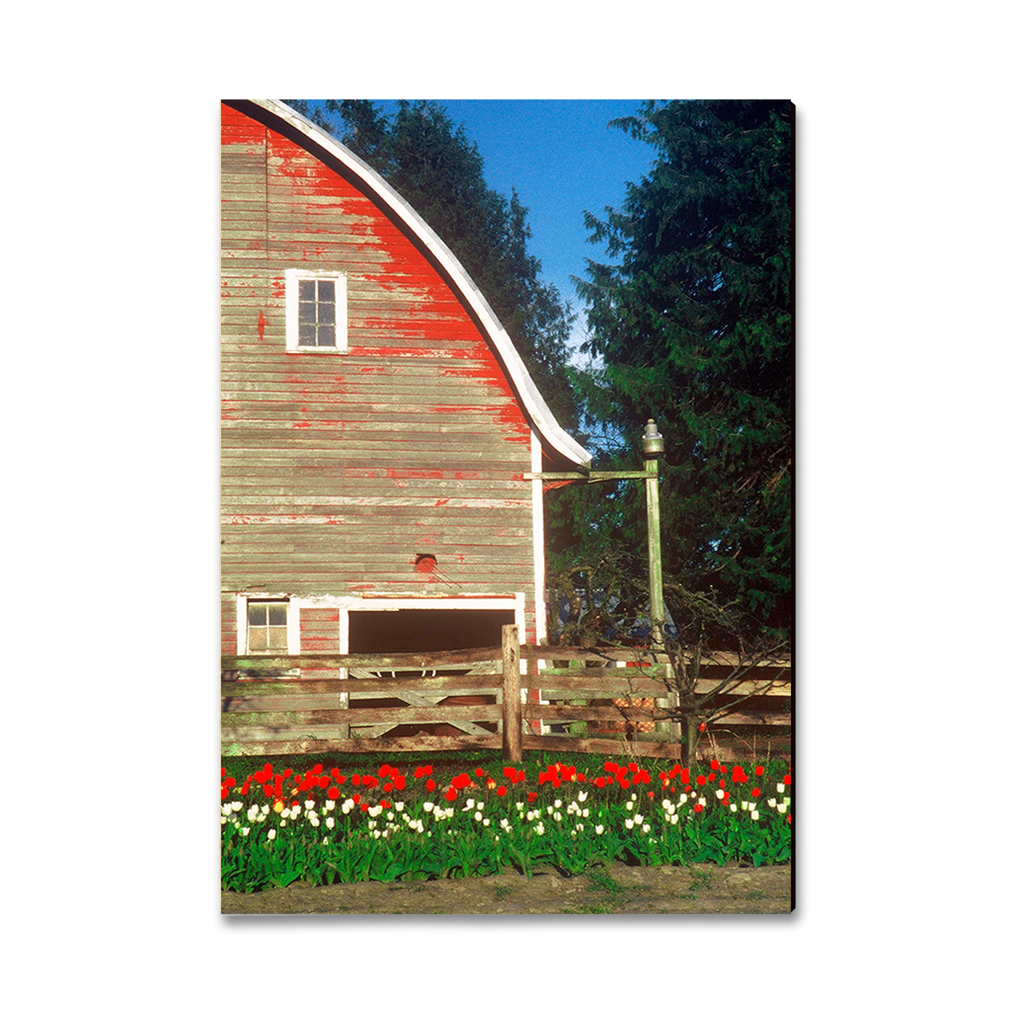Greeting Card: Classic Edge - Barn Yard