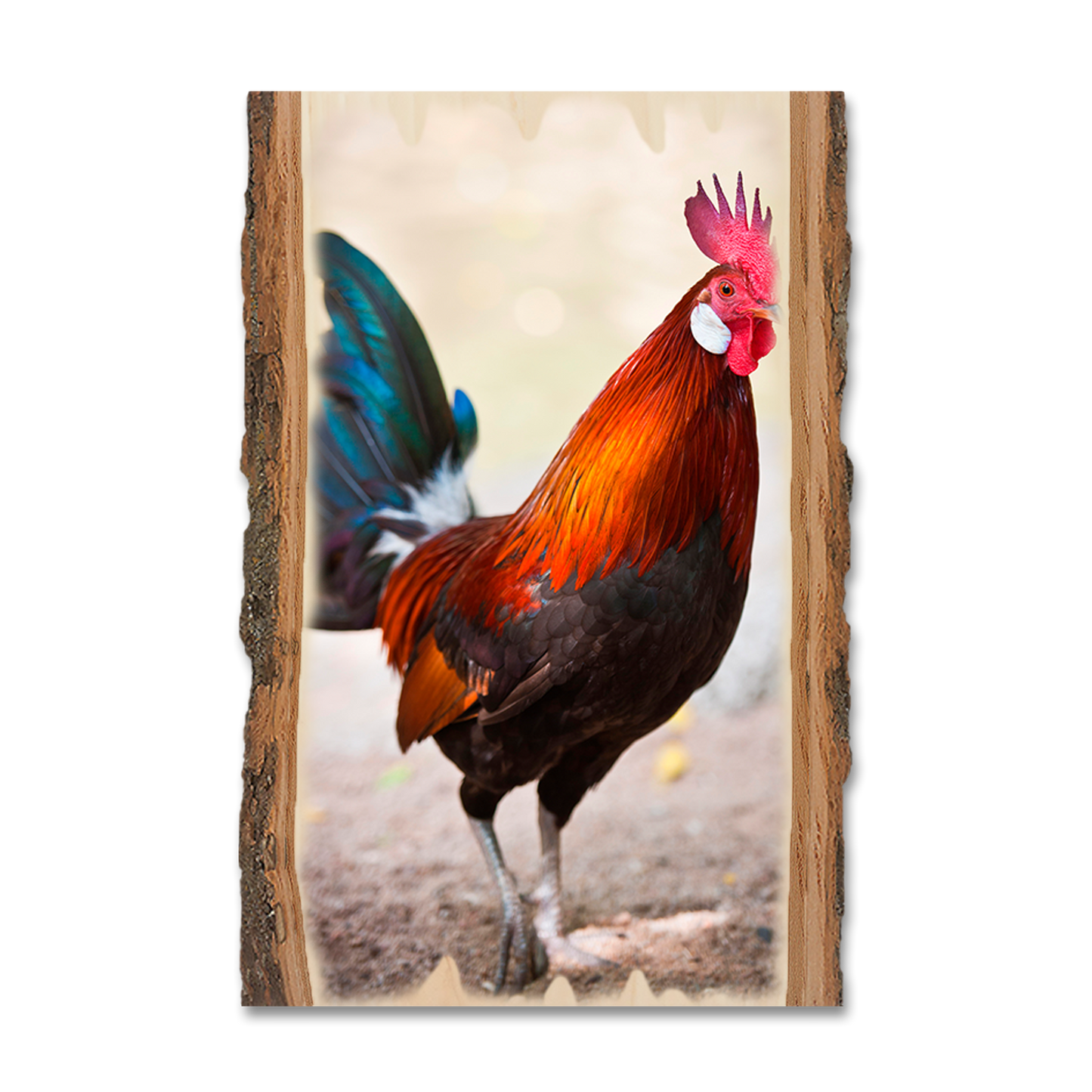 Greeting Card: Live Edge - Colorful Rooster