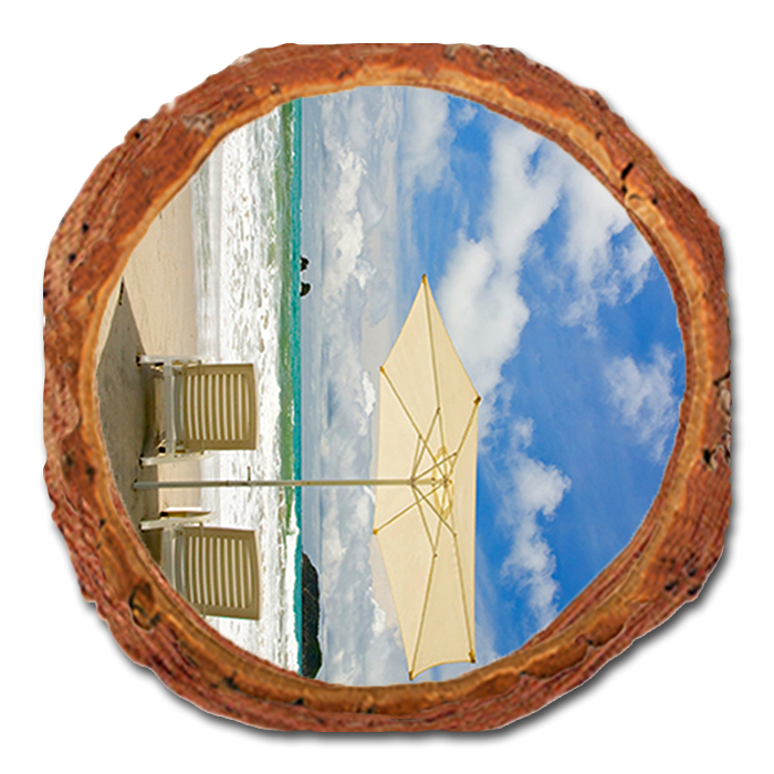 Coaster: Live Edge - Endless Summer (Pack of 5)