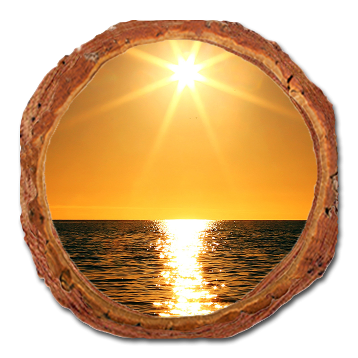 Coaster: Live Edge - Ocean Sun (Pack of 5)
