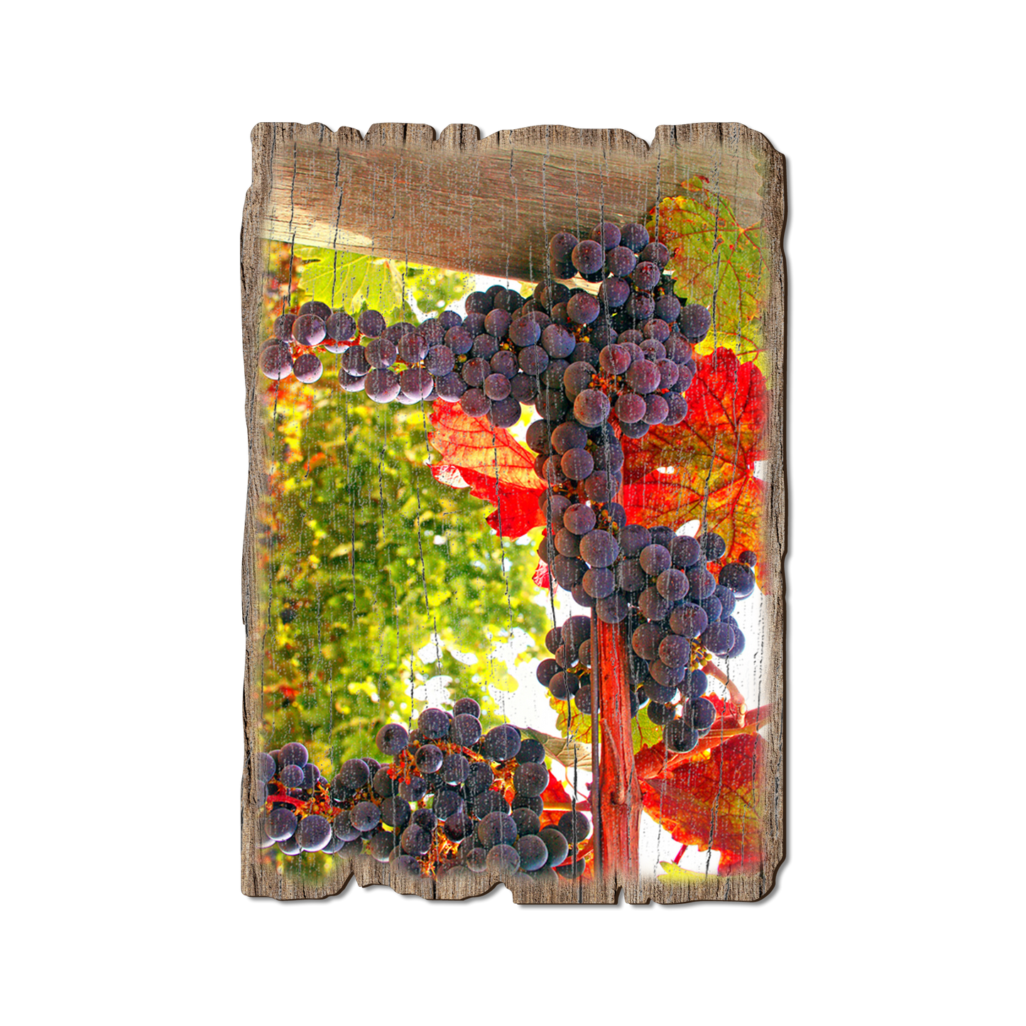 Greeting Card: Weathered Edge - Old Vines