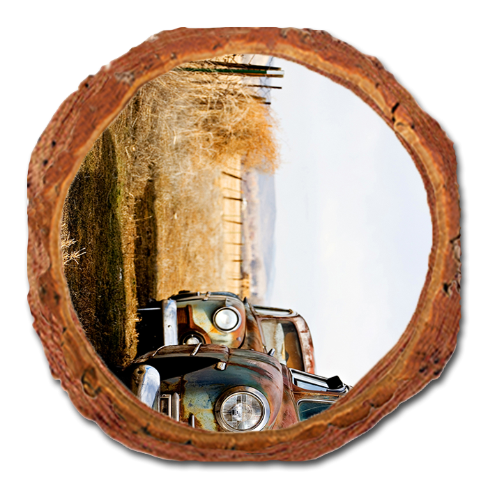Coaster: Live Edge - Rest Stop (Pack of 5)