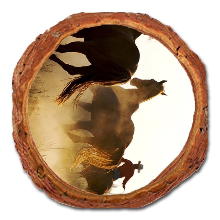 Coaster: Live Edge - Round Up (Pack of 5)