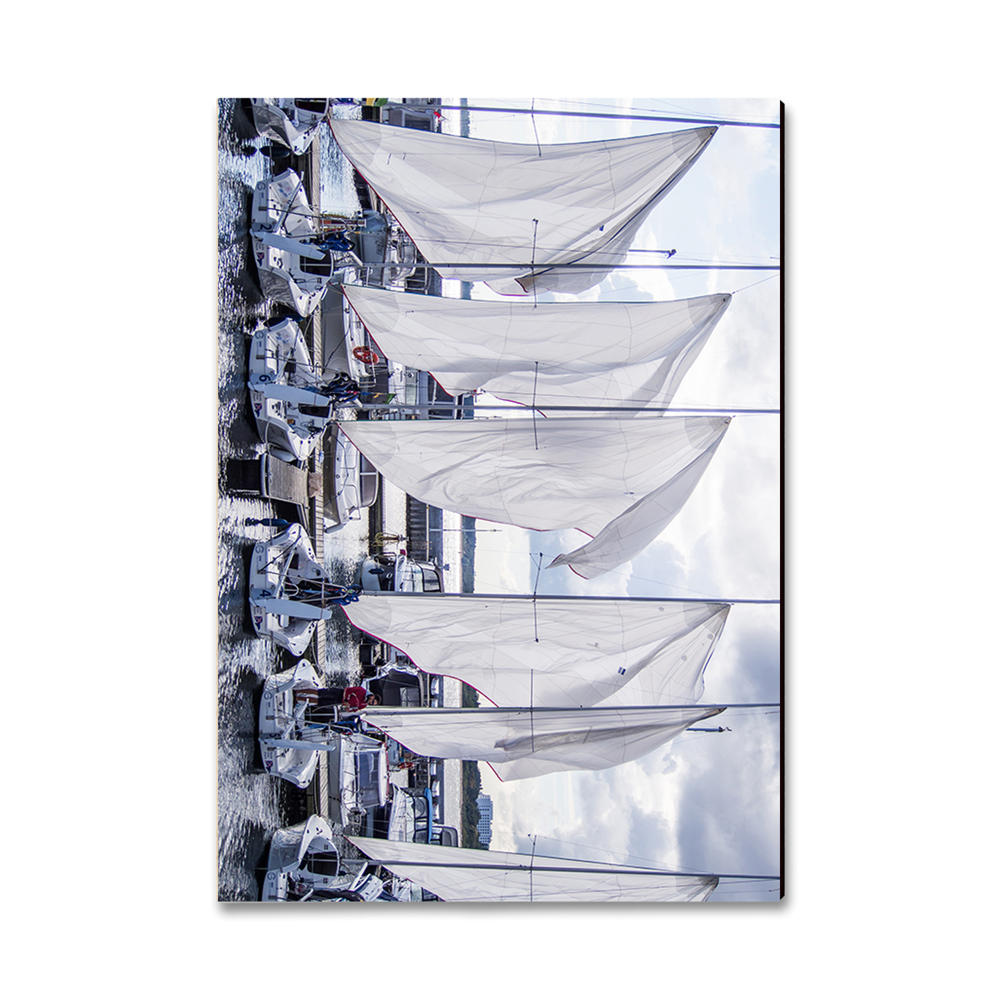 Greeting Card: Classic Edge - Sailing Breeze