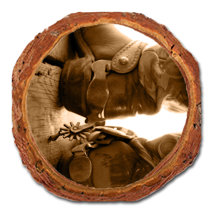 Coaster: Live Edge - Show Down (Pack of 5)