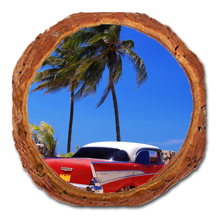 Coaster: Live Edge - Tropic57 Chevy (Pack of 5)