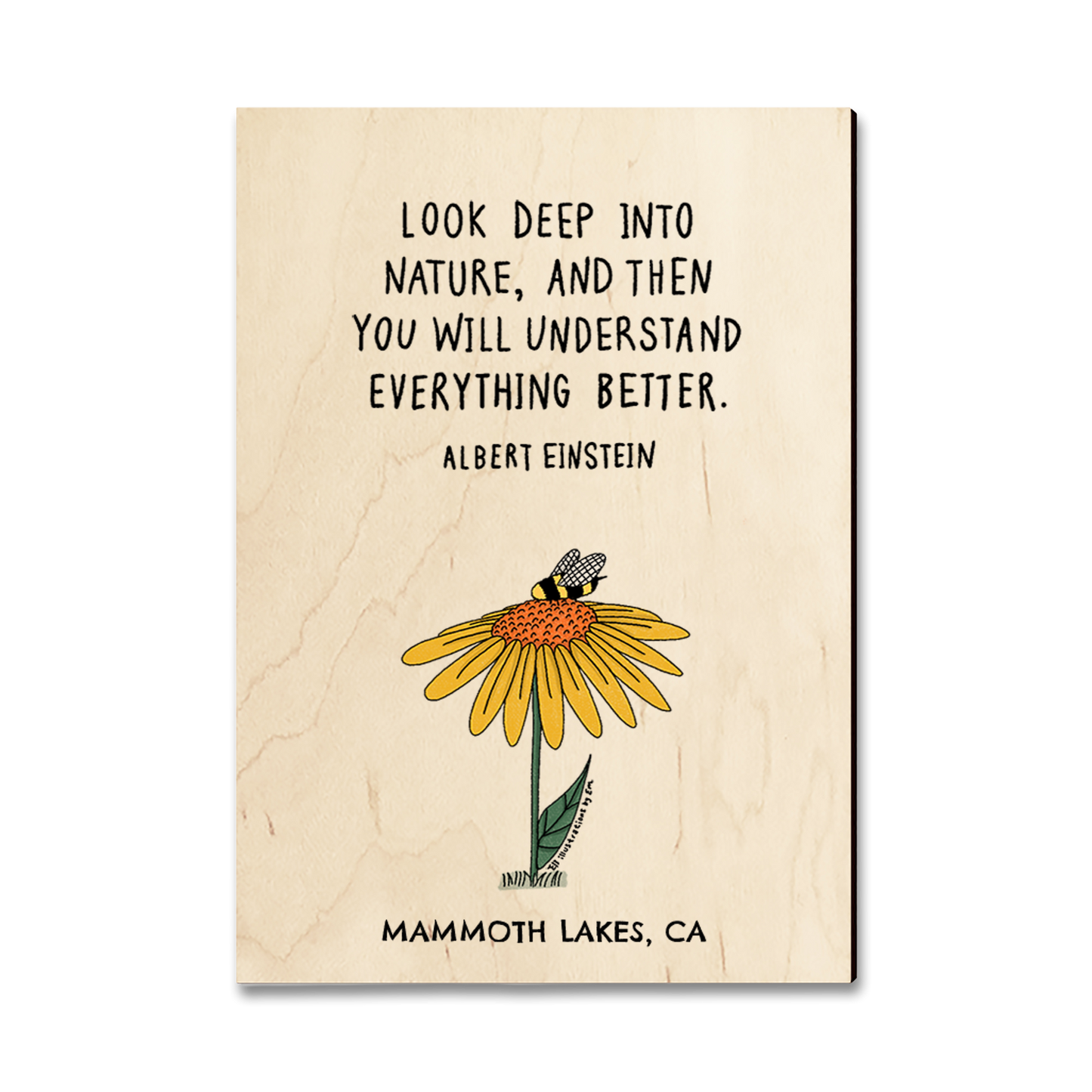 Greeting Card: Classic Edge - Look Deep (Pack of 5)