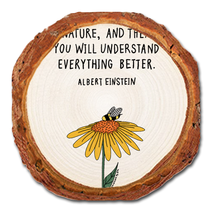 Coaster: Live Edge - Look Deep (Pack of 5)
