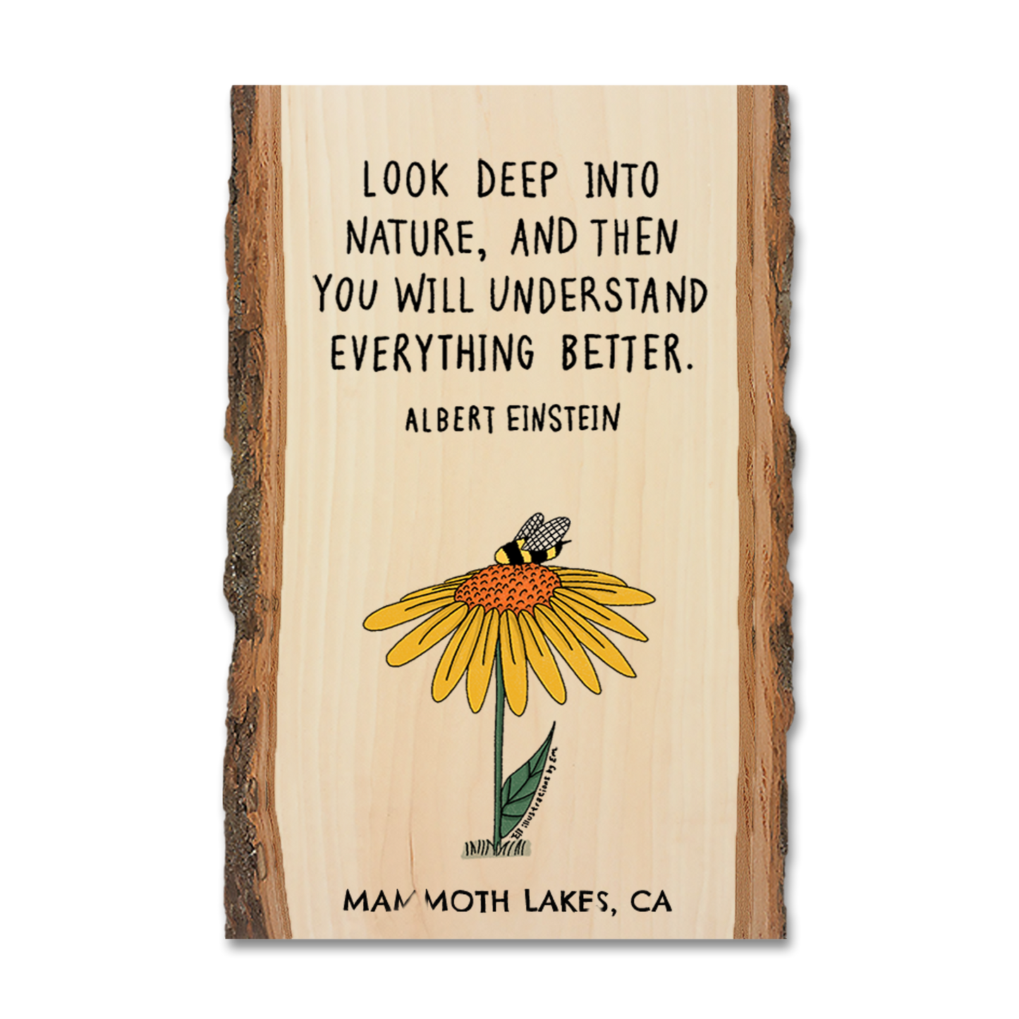 Postcard: Live Edge - Look Deep