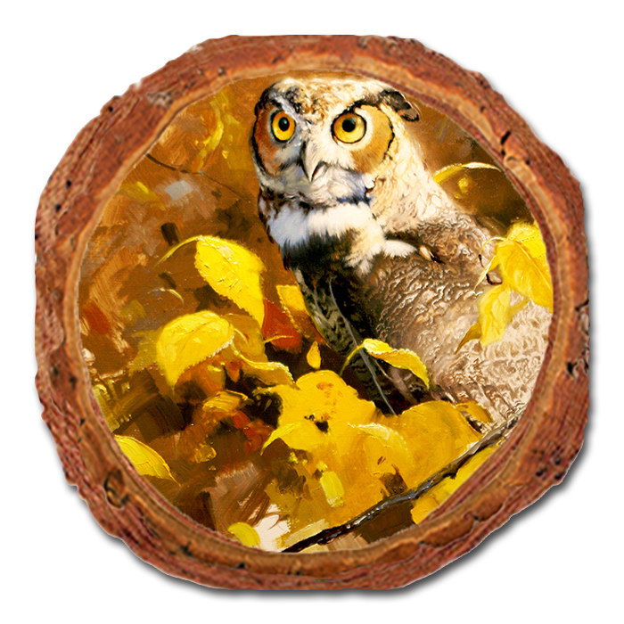Coaster: Live Edge - Kelso's Autumn Eyes