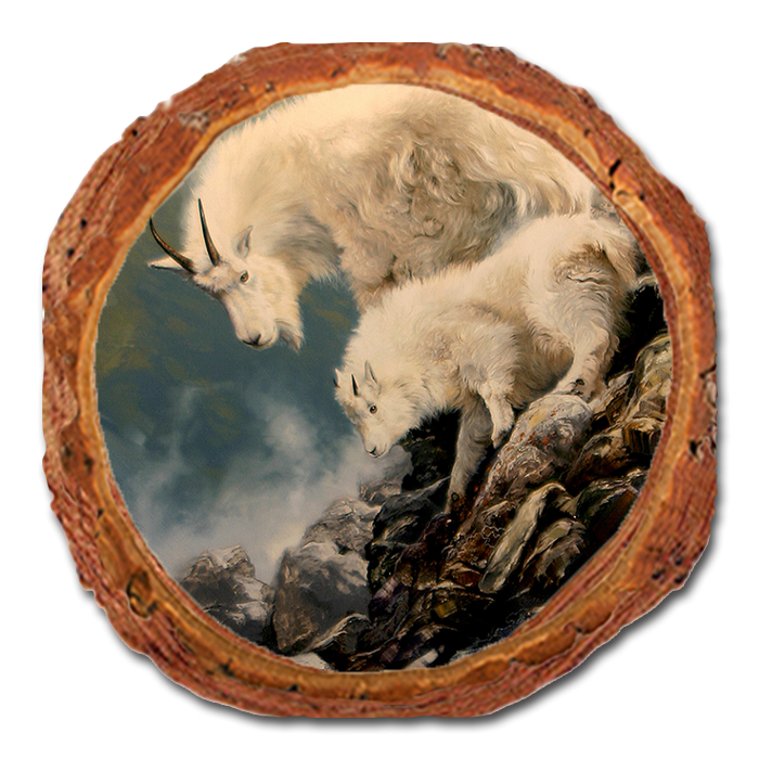 Coaster: Live Edge - Kelso's Finding the Way (Pack of 5)