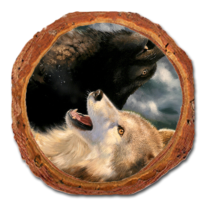 Coaster: Live Edge - Kelso's Harmony (Pack of 5)
