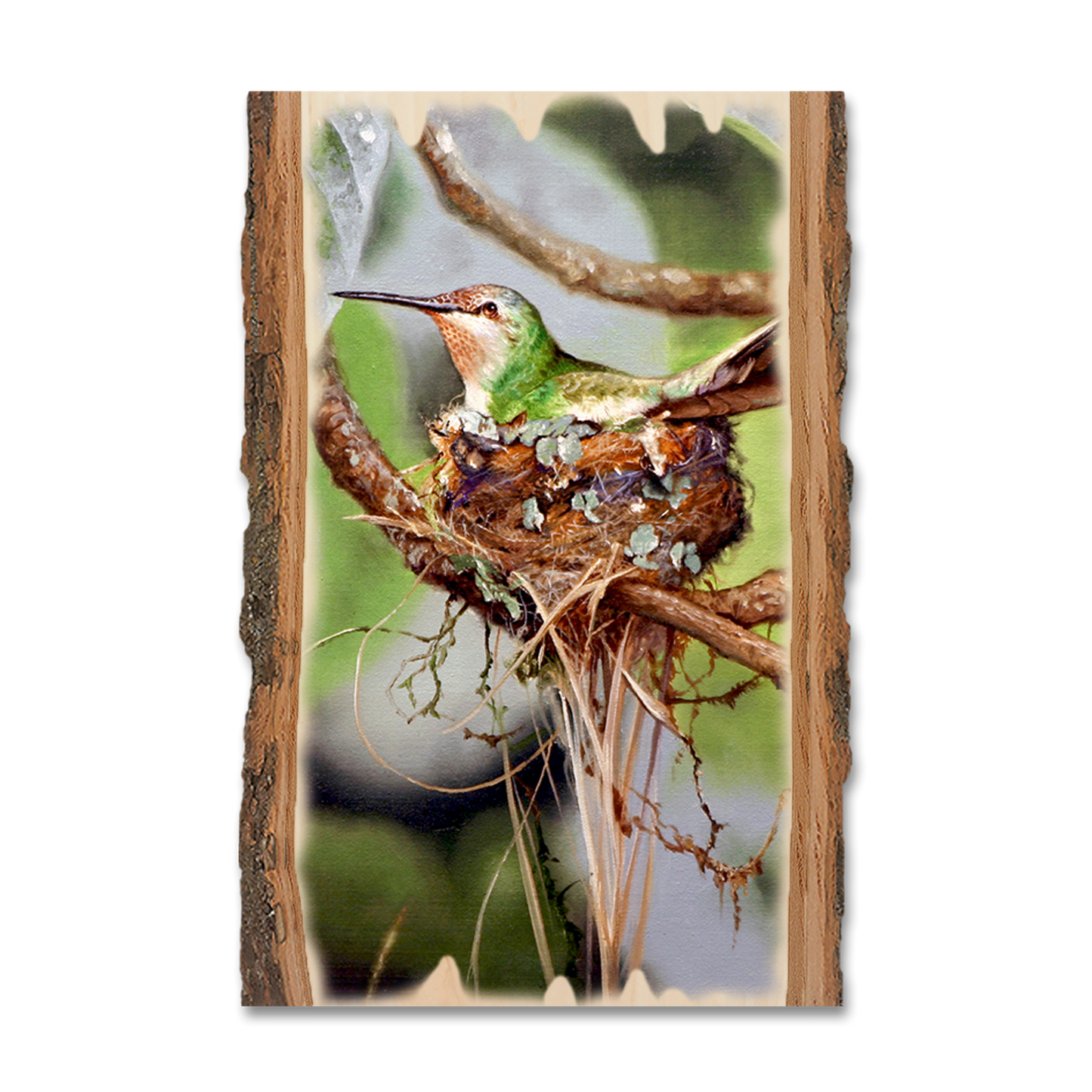 Postcard: Live Edge - Kelso's Lady in Waiting