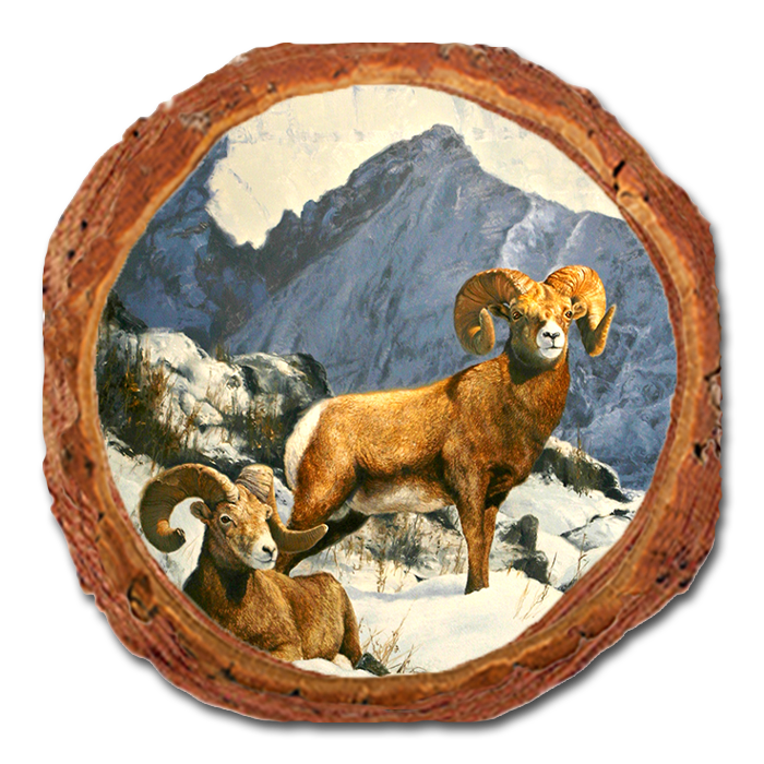 Coaster: Live Edge - Kelso's Mountain Kings