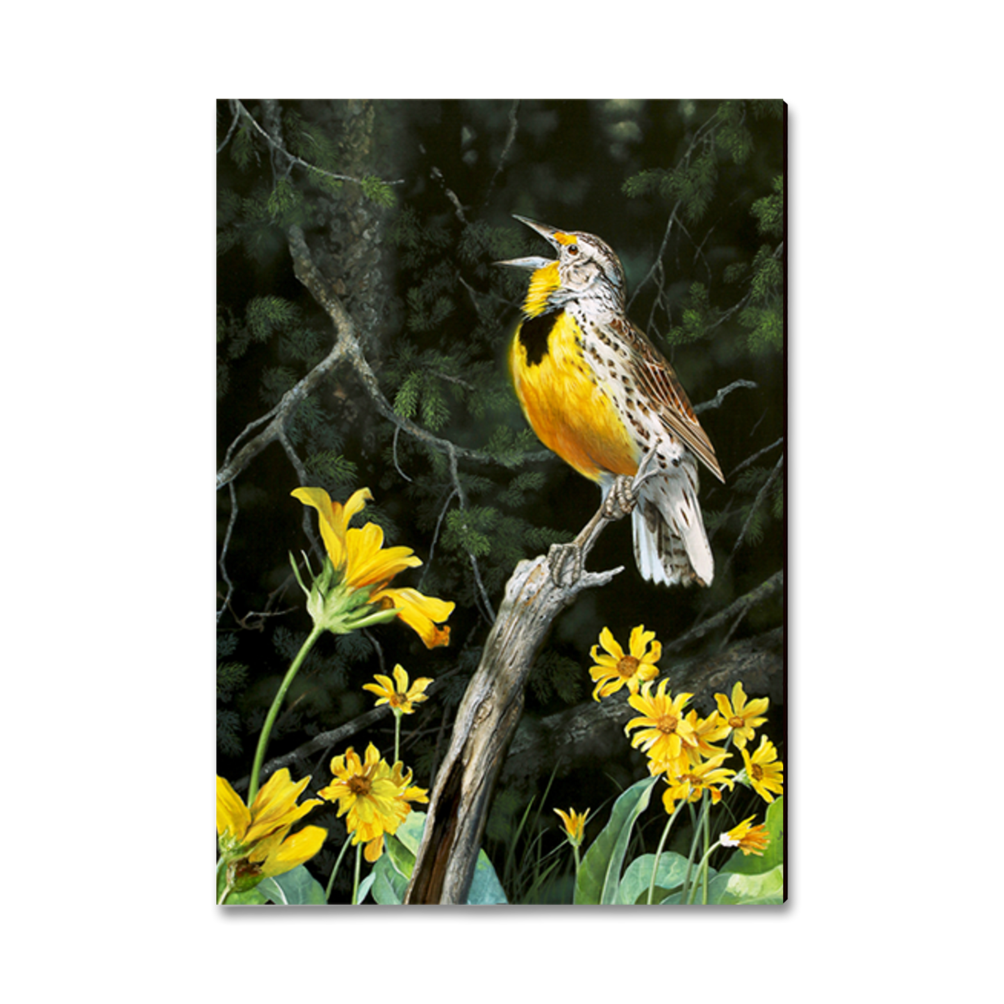Postcard: Classic Edge - Kelso's Meadow & Wood