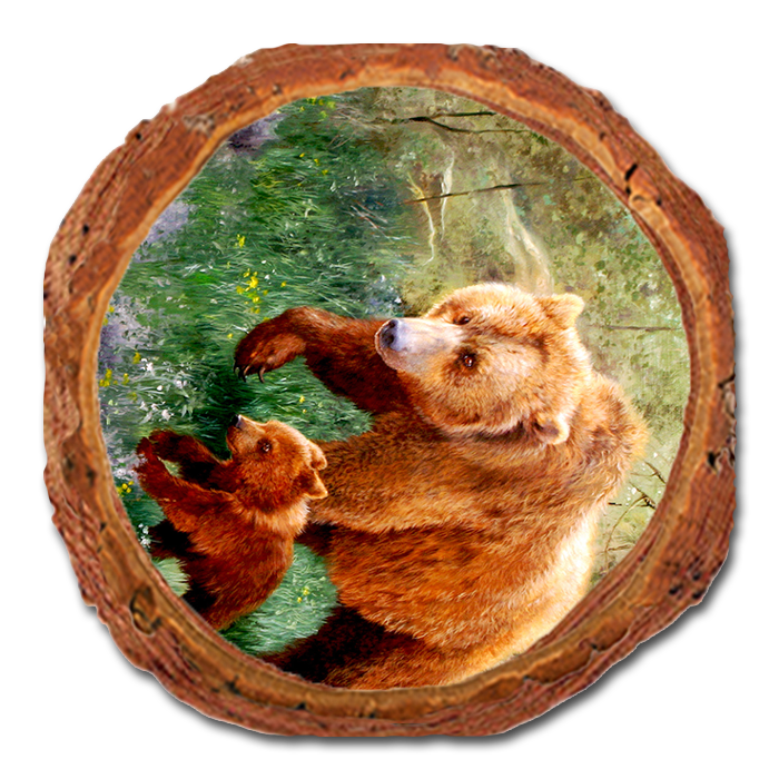 Coaster: Live Edge - Kelso's The Adventurer
