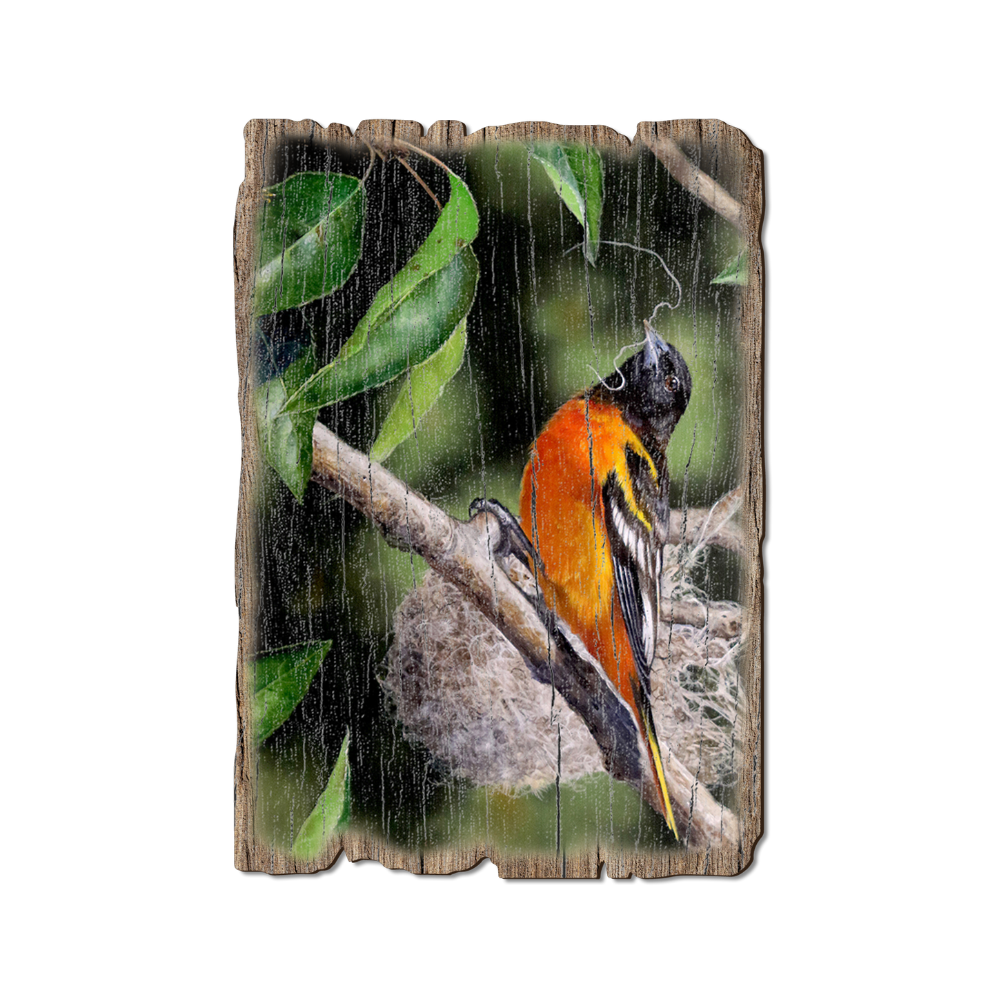 Greeting Card: Weathered Edge - Kelso's The Architect