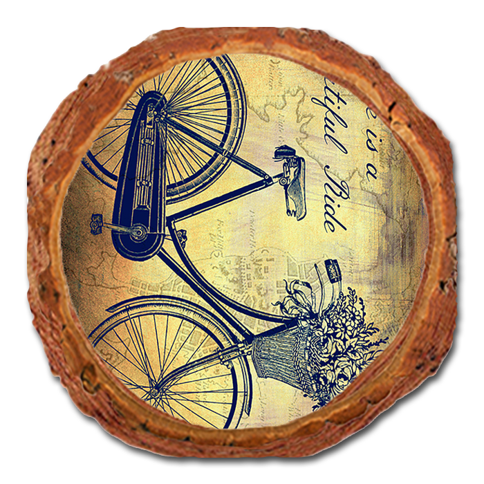 Coaster: Live Edge - Beautiful Ride