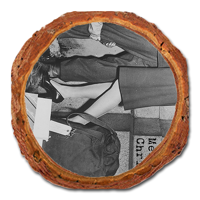 Coaster: Live Edge - Old Christmas Child (Pack of 5)