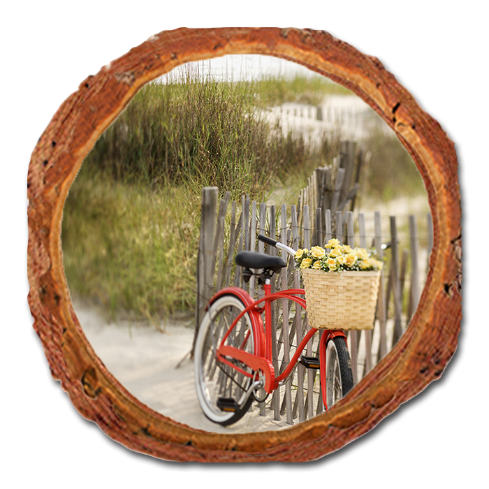 Coaster: Live Edge - Special Delivery (Pack of 5)