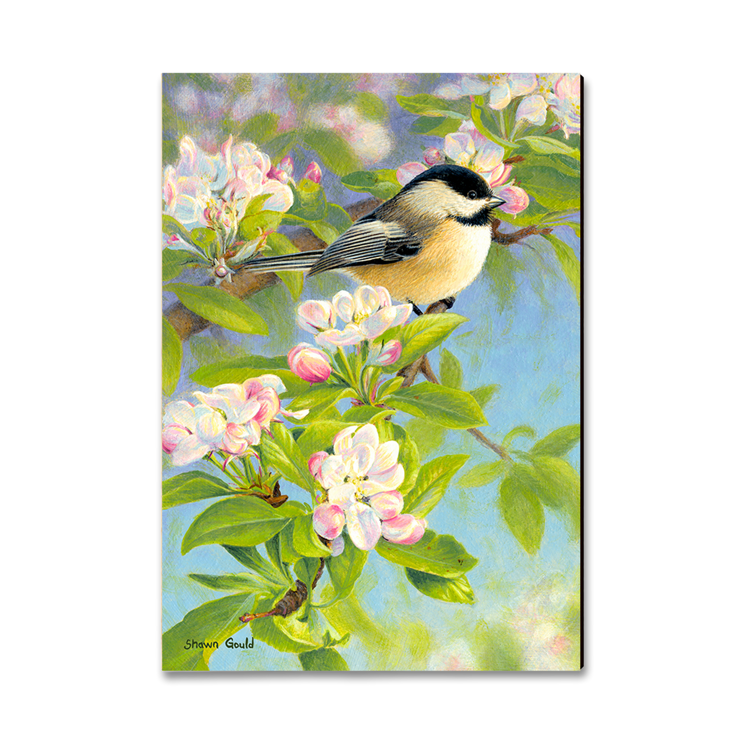 Magnet: Classic Edge - Gould's Chickadee Blossoms