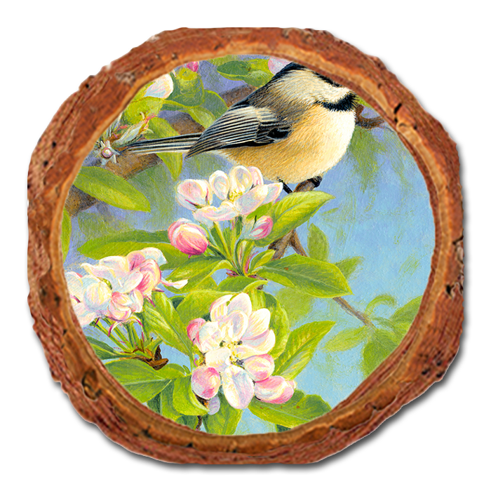 Coaster: Live Edge - Gould's Chickadee Blossoms