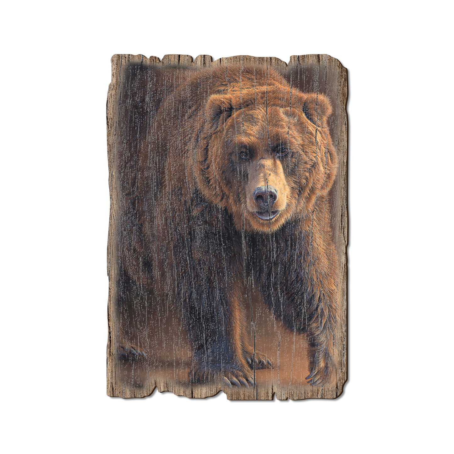 Greeting Card: Weathered Edge - Gould's Close Encounters