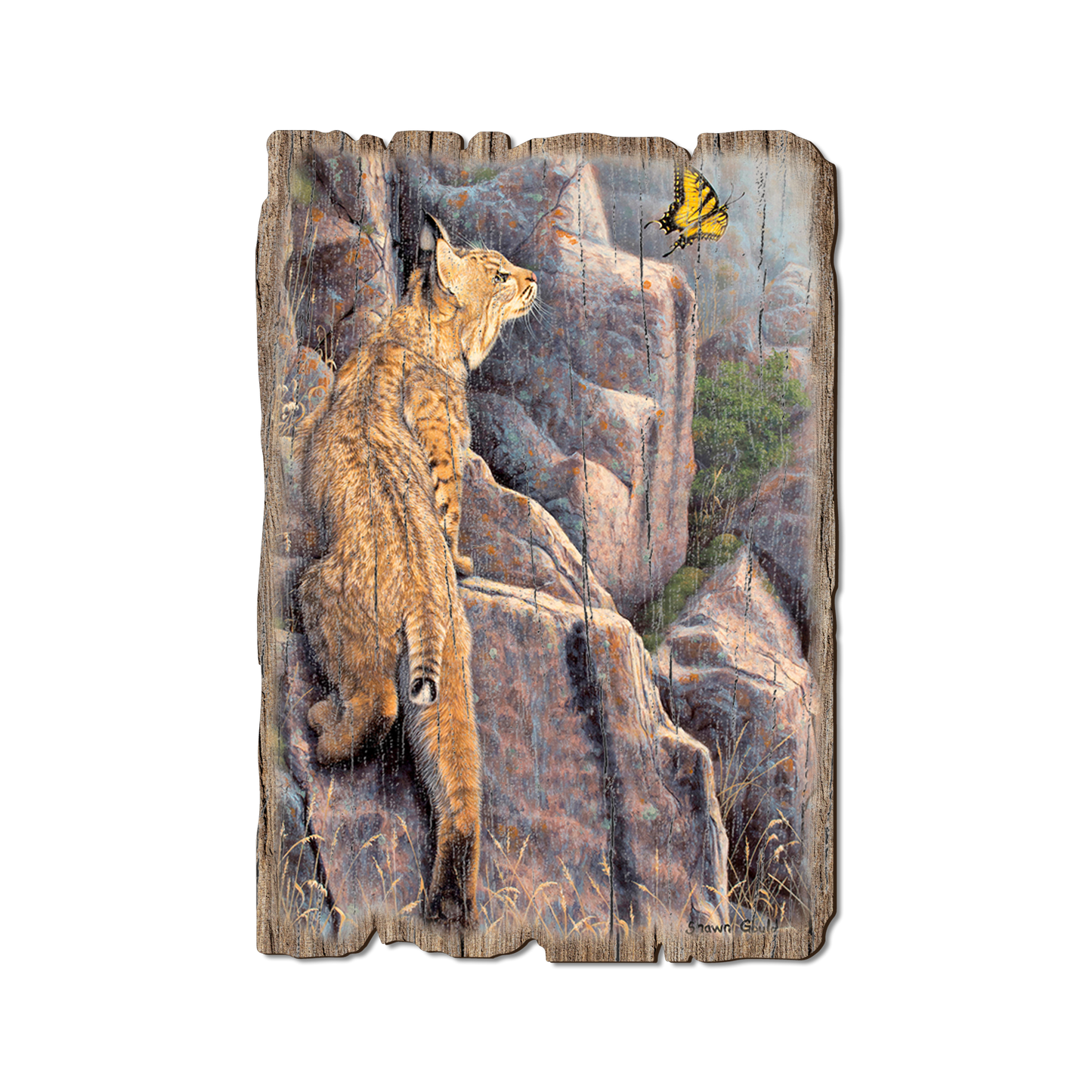 Ornament: Weathered Edge - Gould's Enchanted