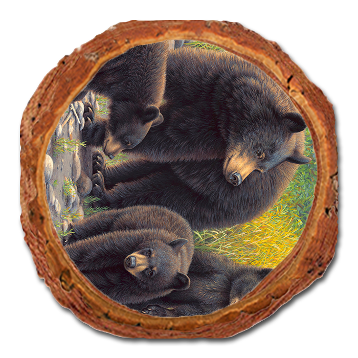 Coaster: Live Edge - Gould's Family Outing