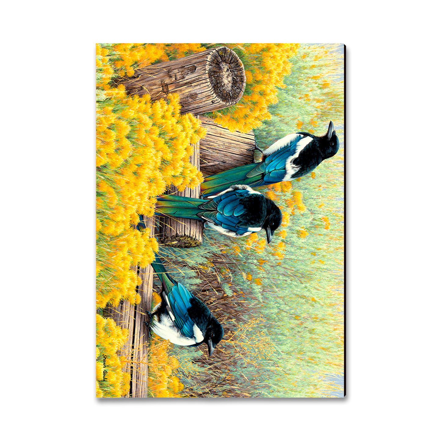 Magnet: Classic Edge - Gould's Fence Tapestry