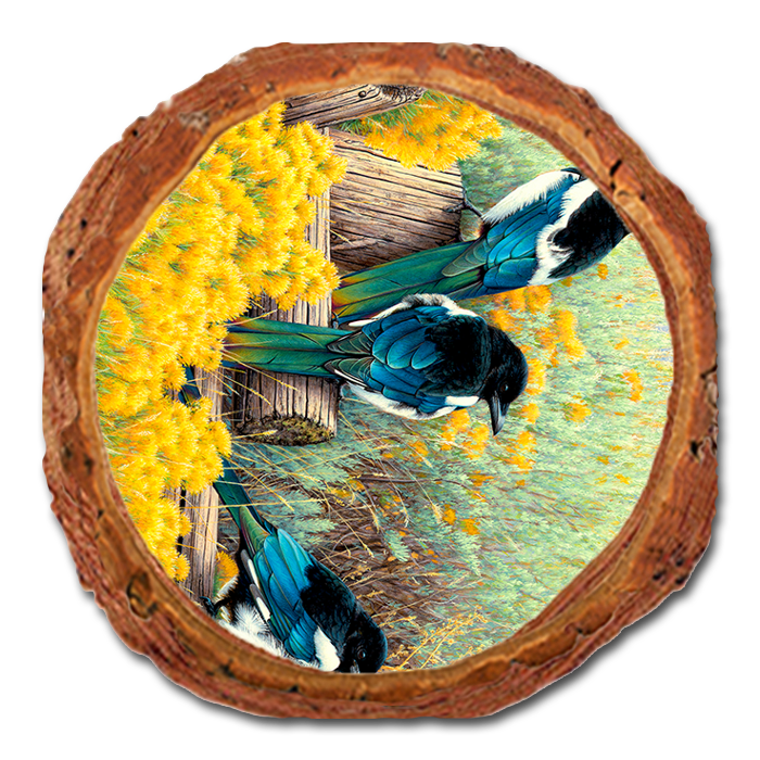 Coaster: Live Edge - Gould's Fence Tapestry