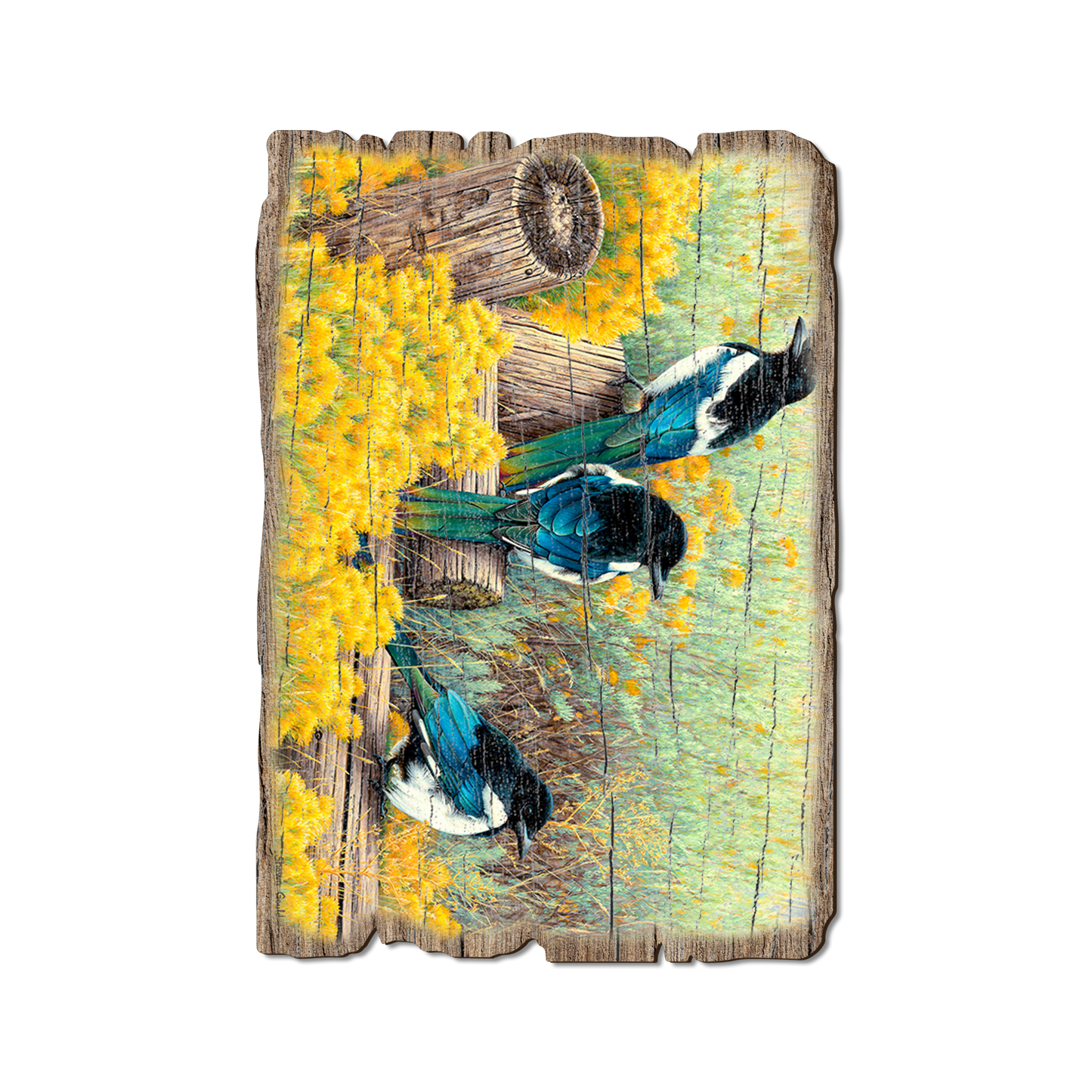 Postcard: Weathered Edge - Gould's Fence Tapestry
