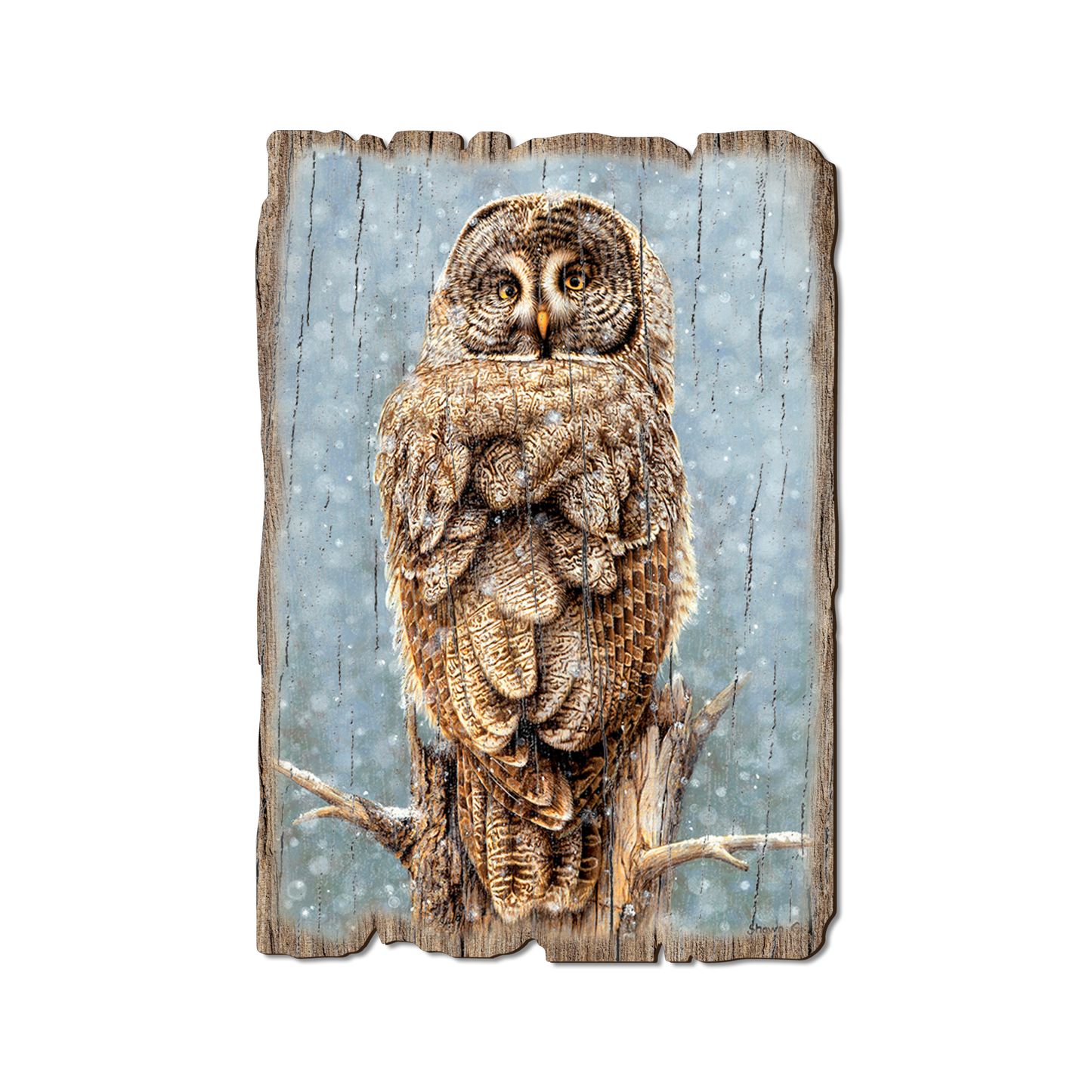 Postcard: Weathered Edge - Gould's Great Gray