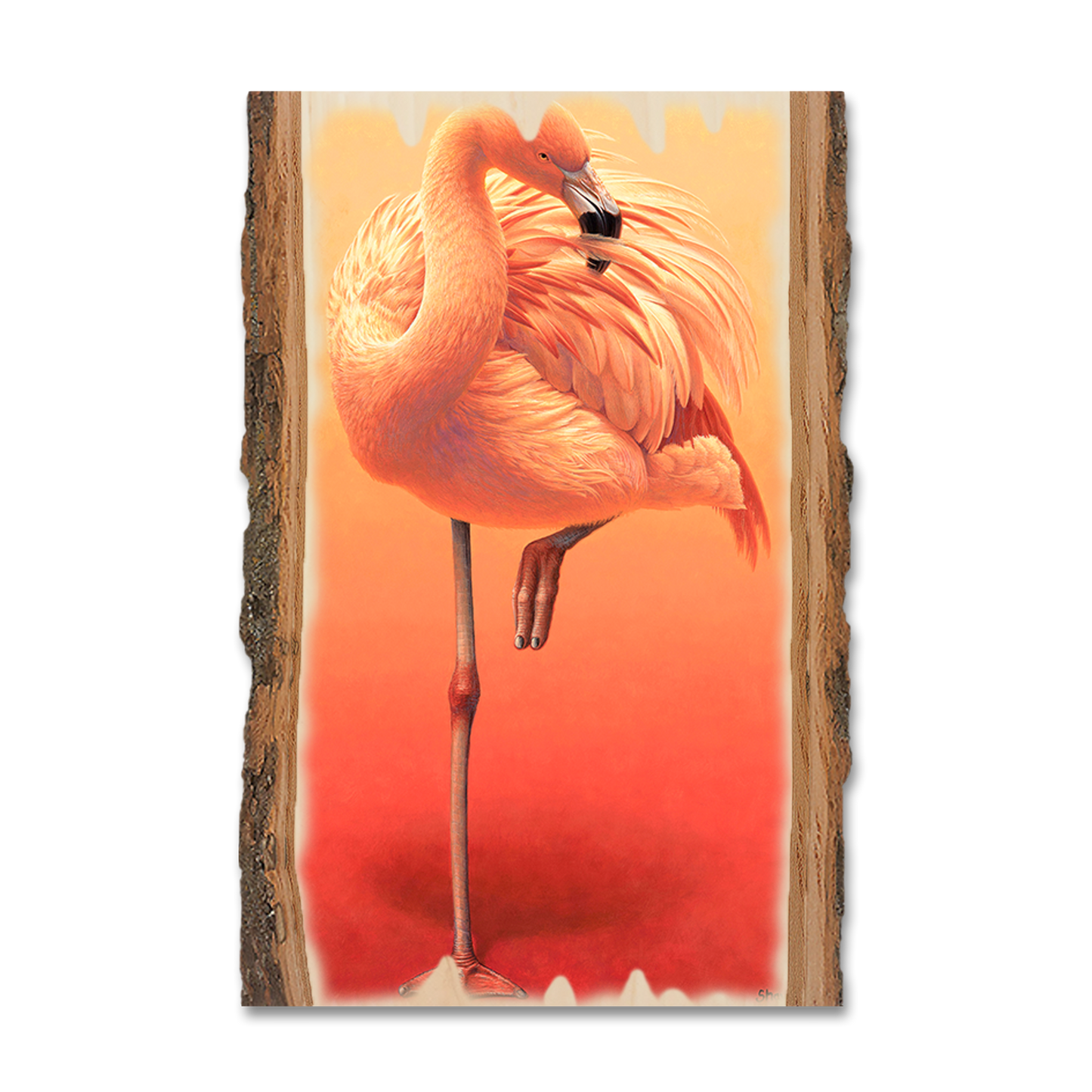 Greeting Card: Live Edge - Gould's Hot Pink