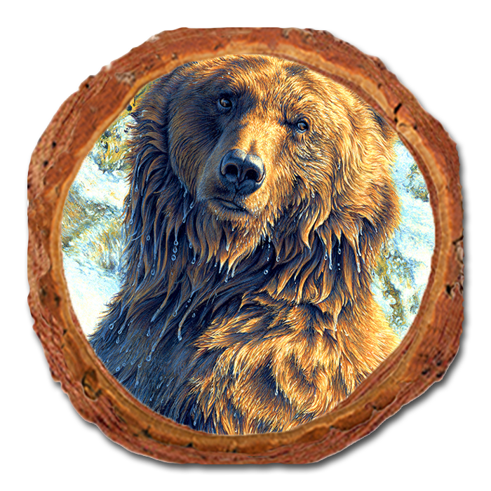 Coaster: Live Edge - Gould's Shangri