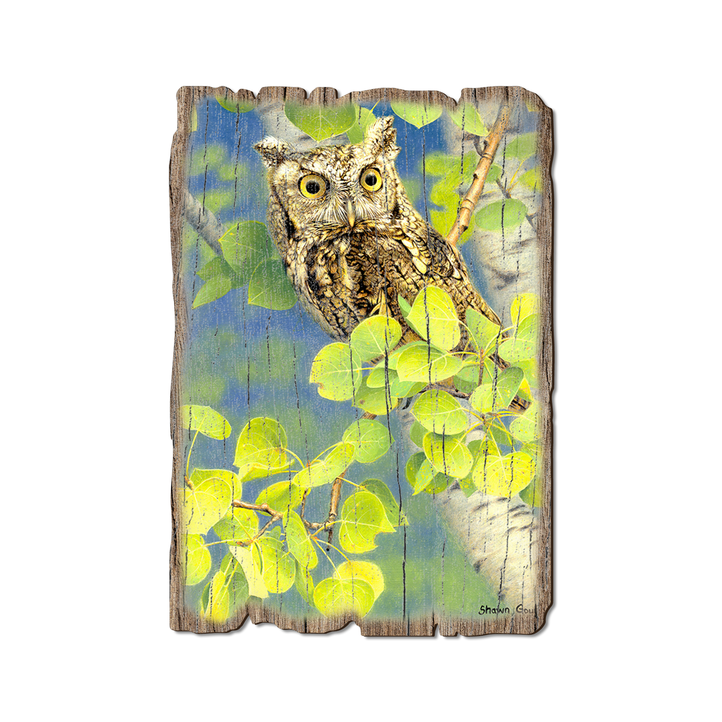 Greeting Card: Weathered Edge - Gould's Summer Screech