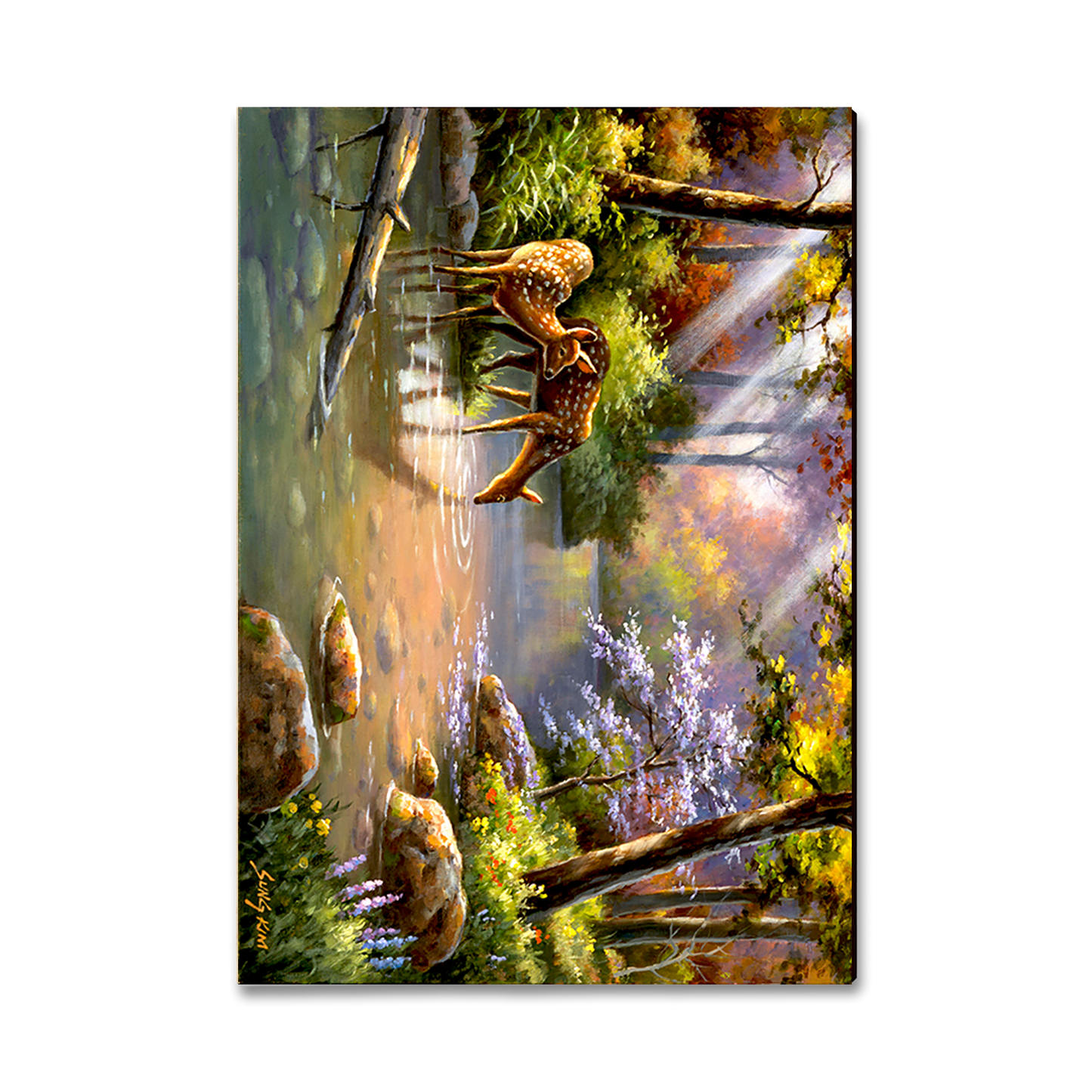 Greeting Card: Classic Edge - Kim's Deer In Stream