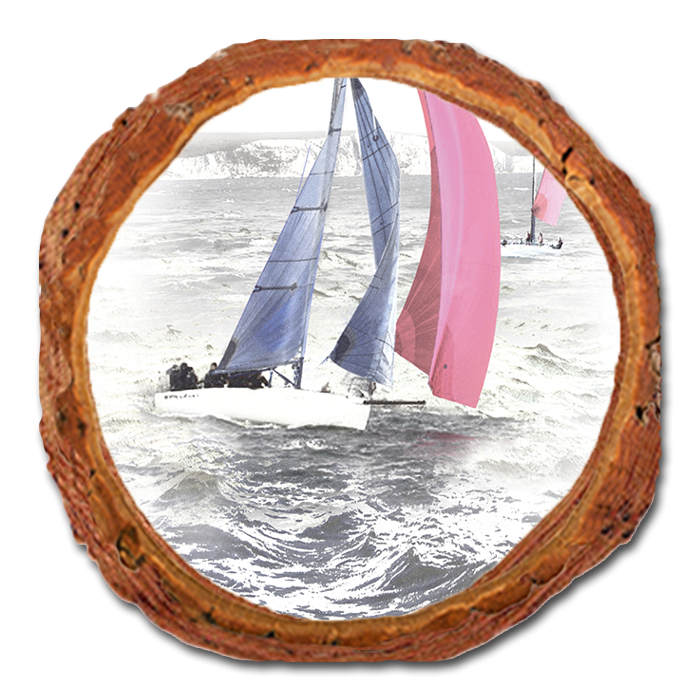 Coaster: Live Edge - Down Wind Run (Pack of 5)