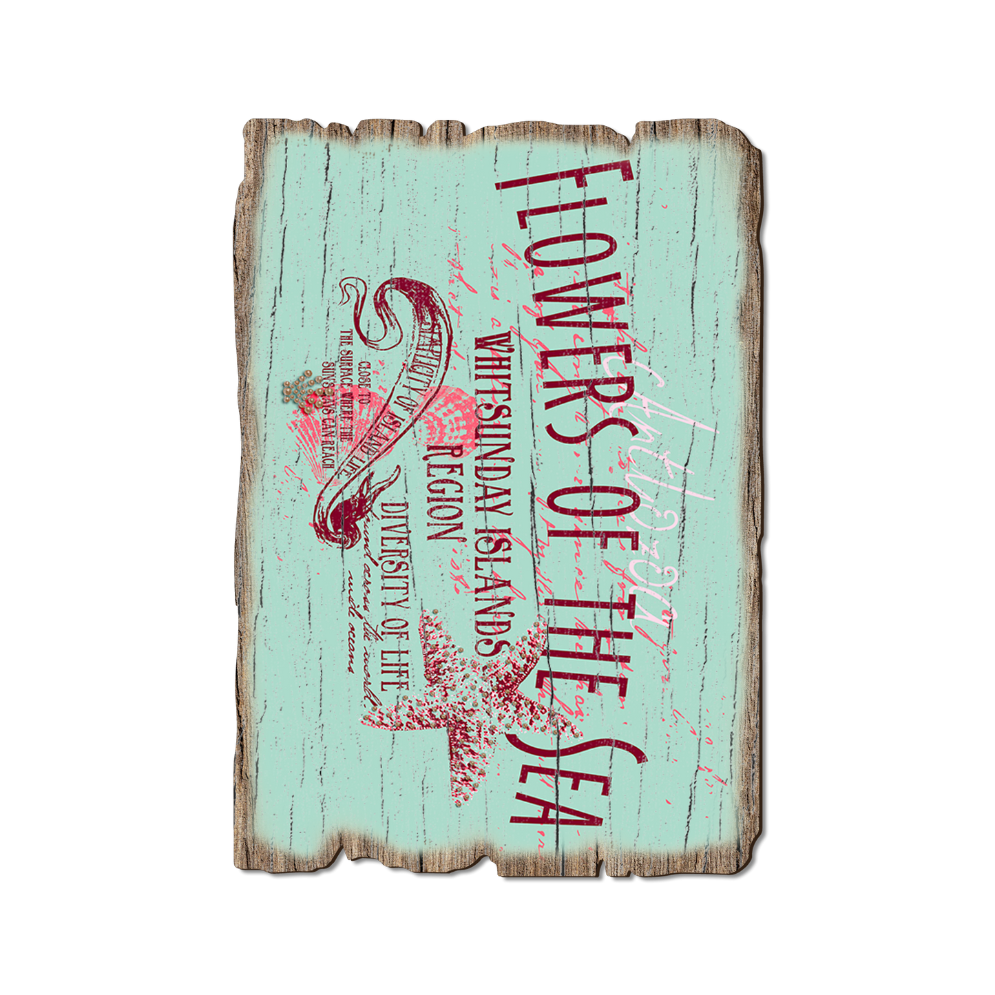 Ornament: Weathered Edge - Flowers Of Sea (Pack of 5)