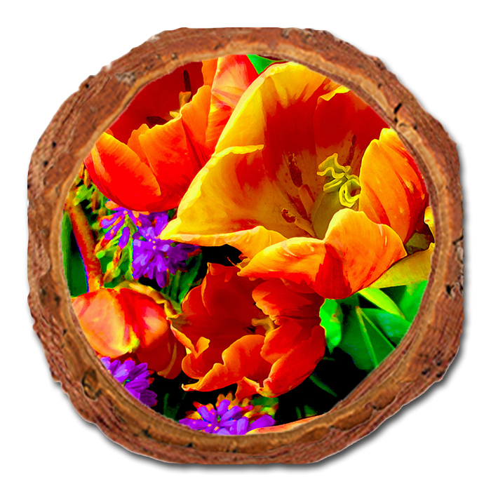 Coaster: Live Edge - Full Bloom (Pack of 5)