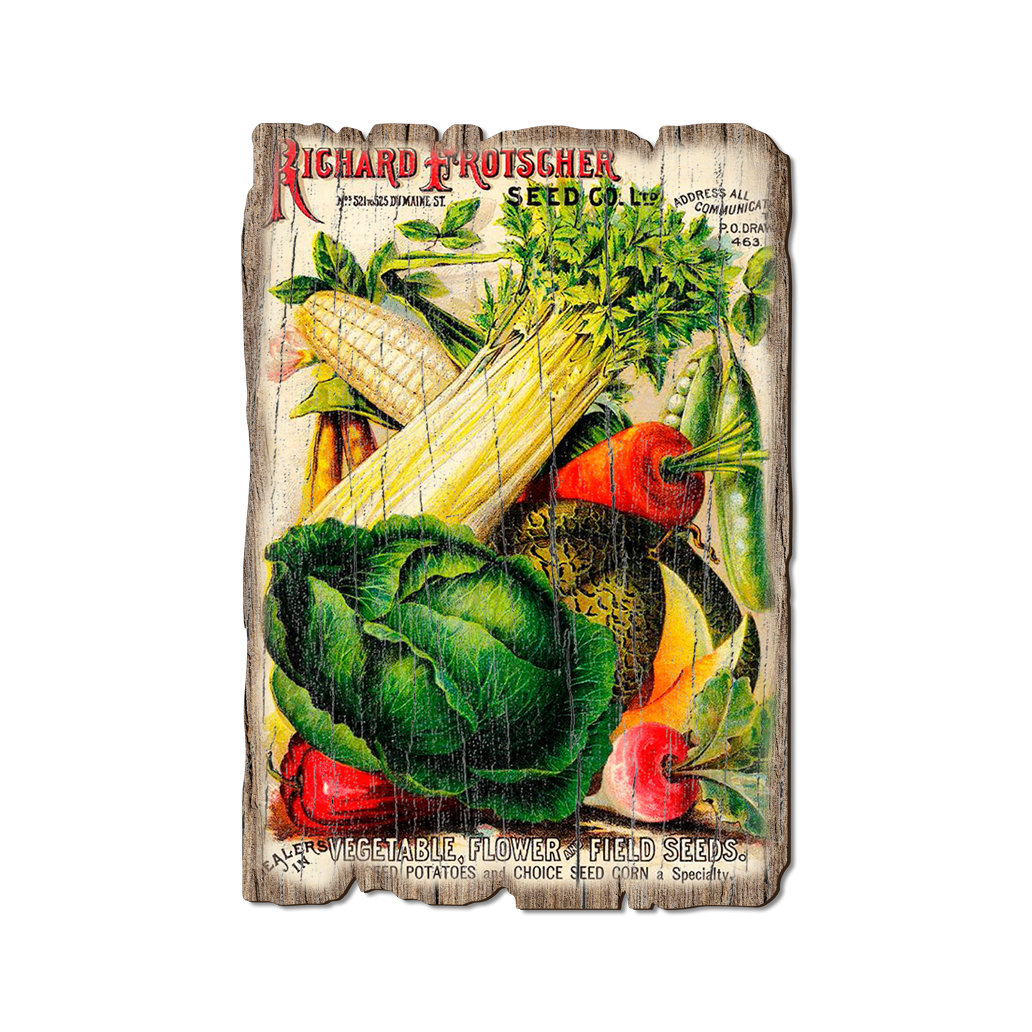 Greeting Card: Weathered Edge - Richard Frotscher