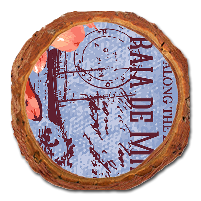 Coaster: Live Edge - Strolling Along Esplanades (Pack of 5)