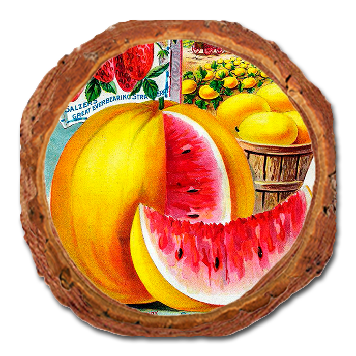 Coaster: Live Edge - Salzer Mellons
