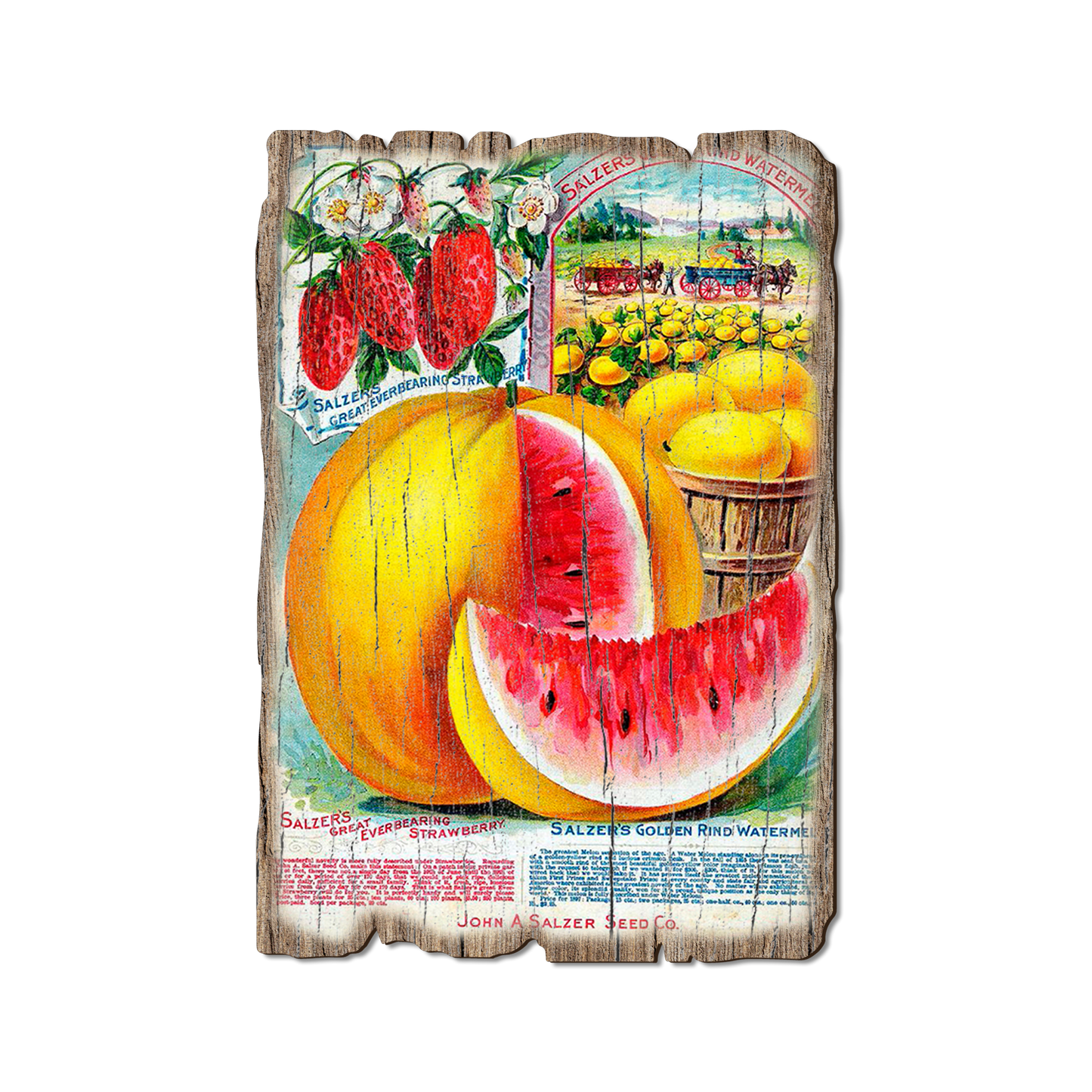 Greeting Card: Weathered Edge - Salzer Mellons
