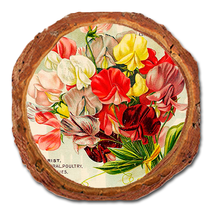 Coaster: Live Edge - Perry Seed