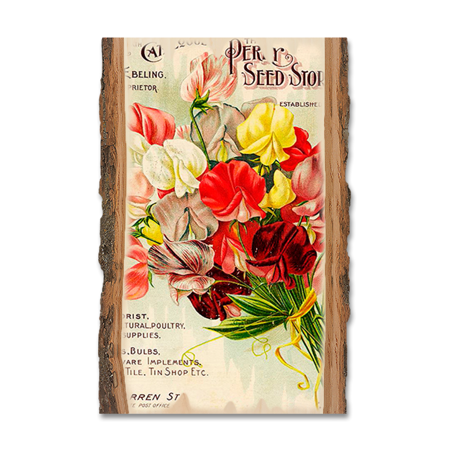 Greeting Card: Live Edge - Perry Seed