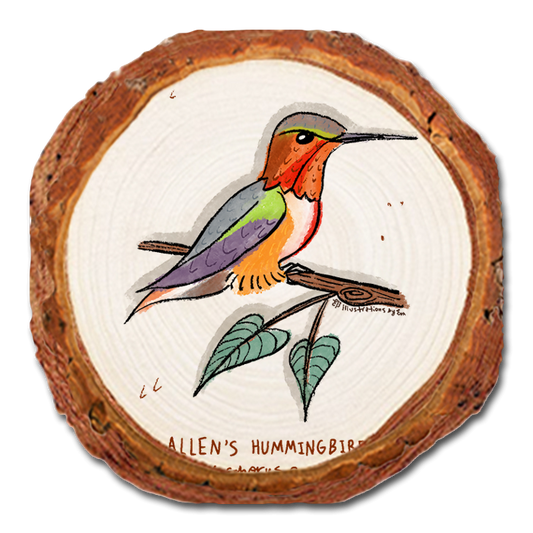 Coaster: Live Edge - Allen's Hummingbird (Pack of 5)