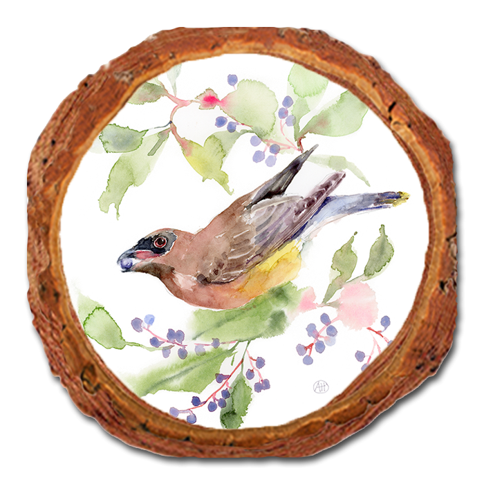 Coaster: Live Edge - Henning's Berry Picker (Pack of 5)