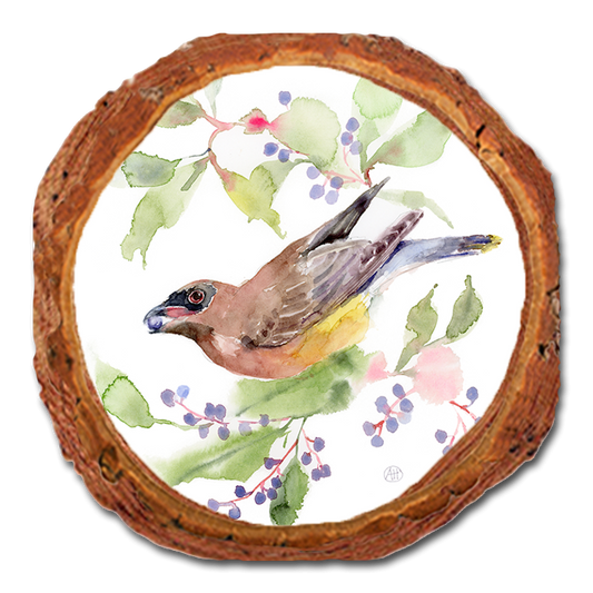 Coaster: Live Edge - Henning's Berry Picker (Pack of 5)